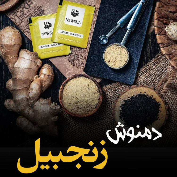 دمنوش زنجبیل بیست عددی نیوشا